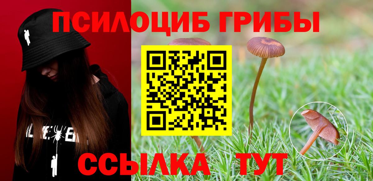 Пушкино  Галлюциногенные грибы прущие грибы  Псилоцибиновые грибы Cubensis  Вход с VPN 